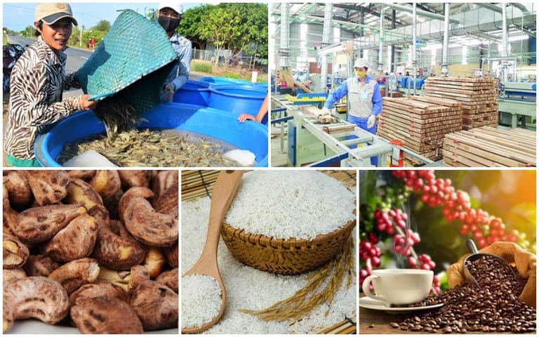 Nông sản xuất khẩu: điều, gạo, cà phê